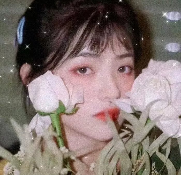 双花镜